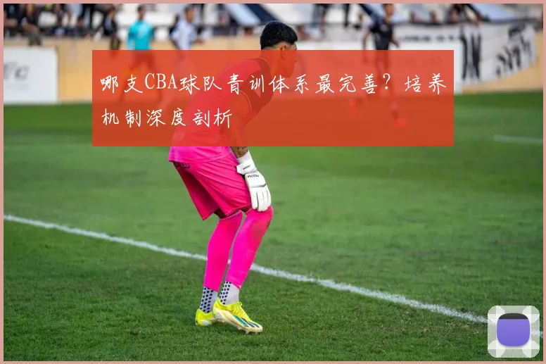 哪支CBA球队青训体系最完善？培养机制深度剖析